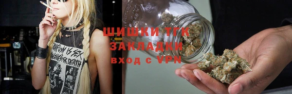 индика Абаза