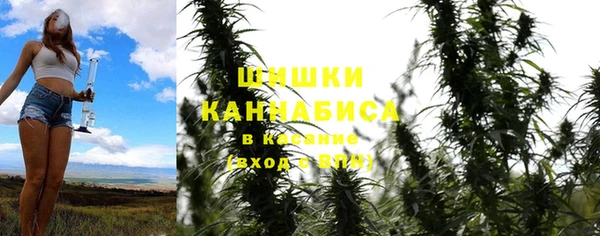 индика Абаза