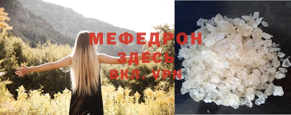 индика Абаза