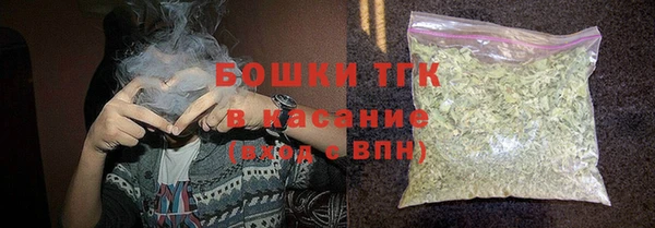 индика Абаза