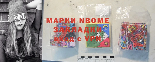 индика Абаза