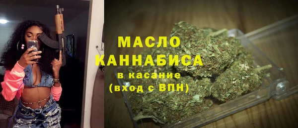 индика Абаза