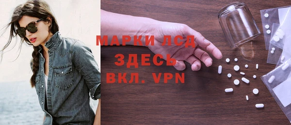 индика Абаза