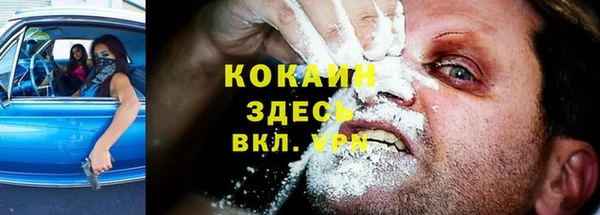 индика Абаза