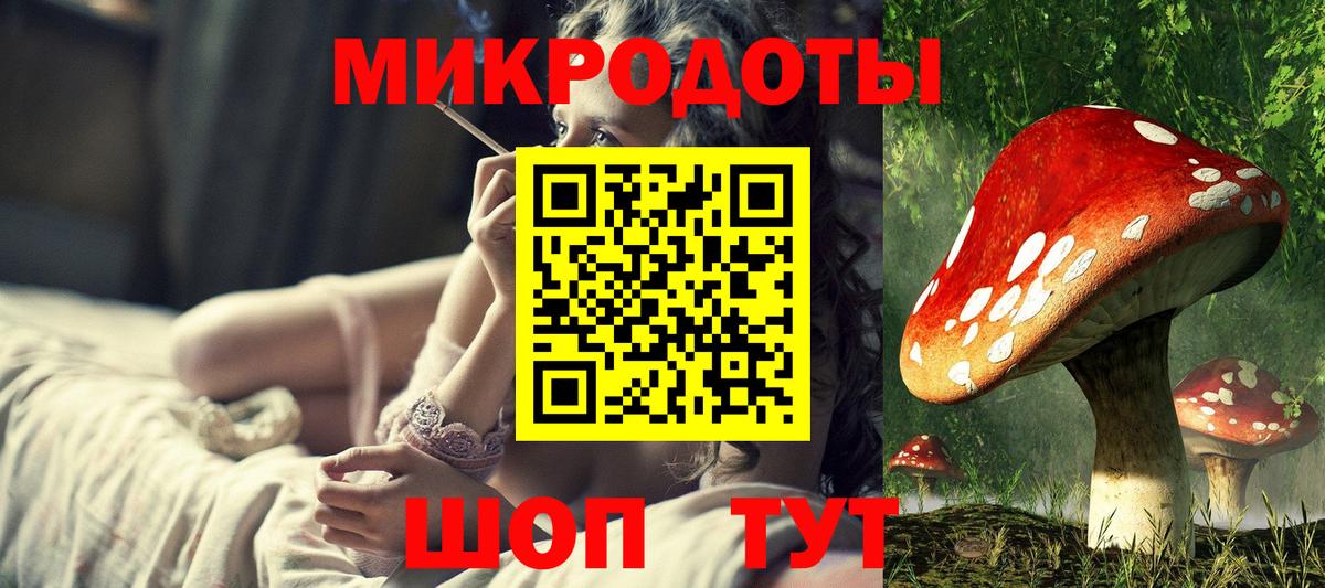Псилоцибиновые грибы Psilocybine cubensis  Вход с VPN  Псилоцибиновые грибы прущие грибы  Уфа 